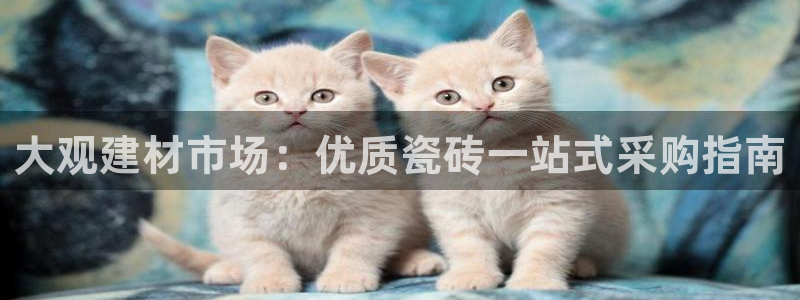 杏鑫娱乐官方网站客户端