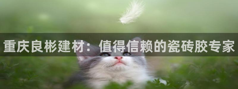 杏鑫平台靠谱吗