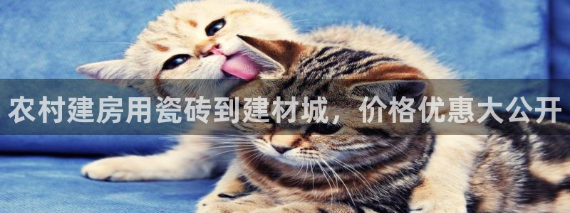 杏鑫娱乐平台