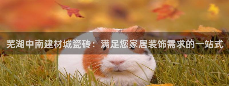 杏鑫娱乐怎么样