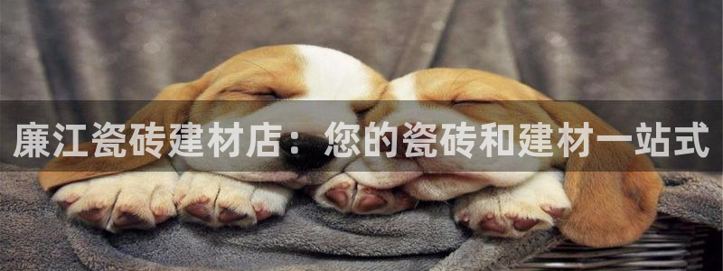 杏鑫平台代理注册