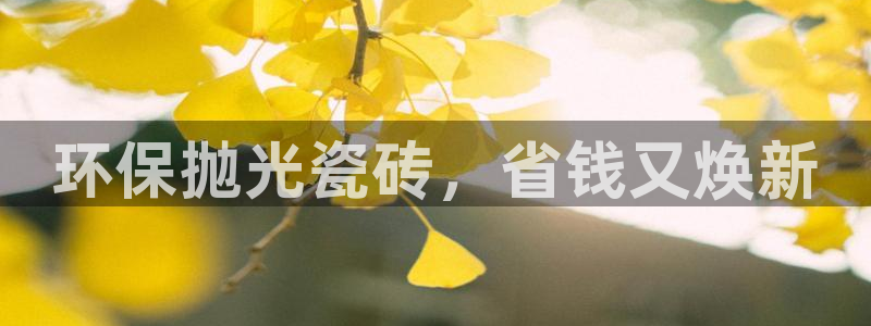 杏鑫平台注册地址是哪里