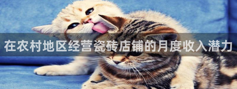 杏鑫平台代理注册要钱吗