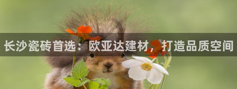 杏鑫登录测速