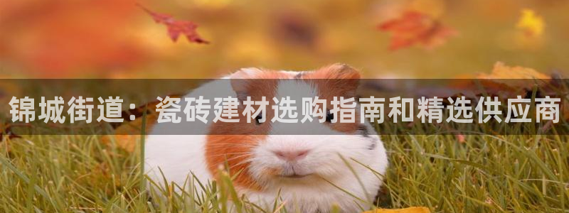 杏鑫注册平台官方网站是什么