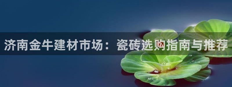 杏鑫平台是黑平台吗