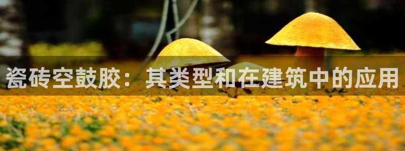 杏鑫平台野马联盟怎么样