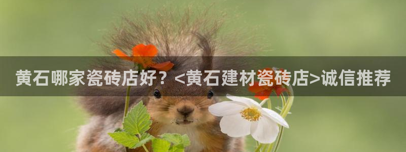 杏鑫官网最新信息新闻