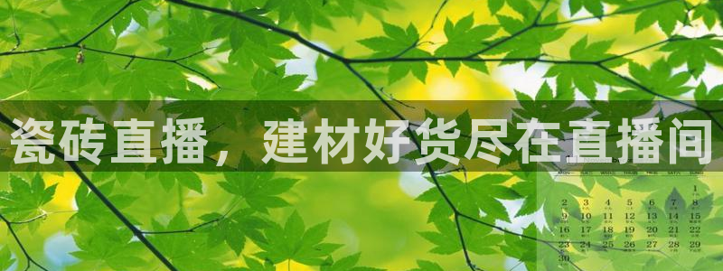 杏鑫平台代理注册登录不了怎么办呀视频