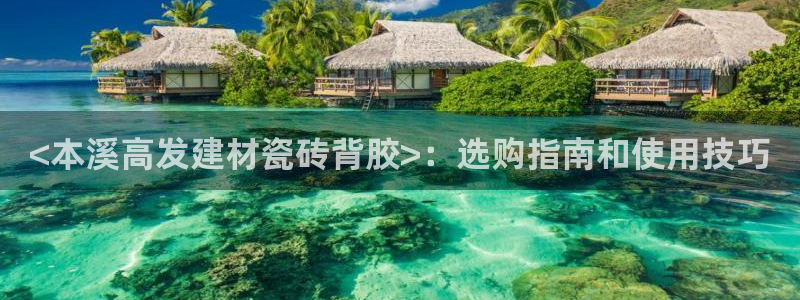 杏鑫平台注册网址查询
