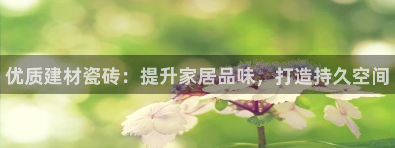 杏鑫平台登录注册