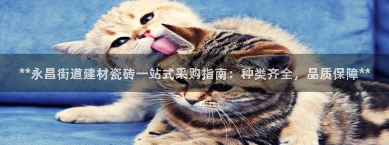 杏鑫娱乐平台