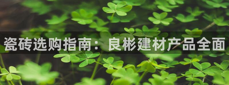 杏鑫官网最新信息新闻报道