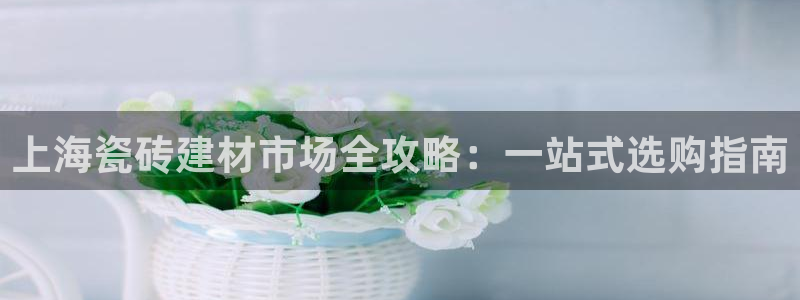 杏鑫平台代理怎么样赚钱