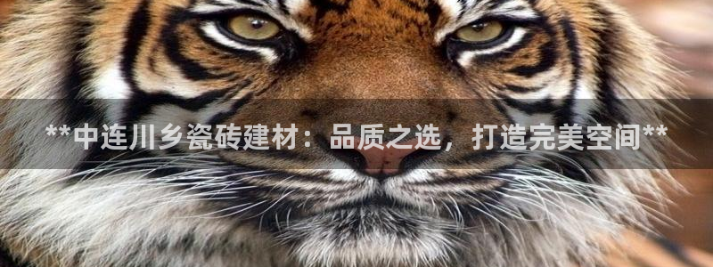 杏鑫平台登录地址在哪