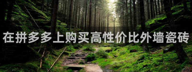 杏鑫官网注册账号密码忘了