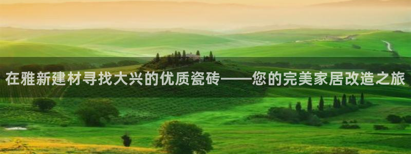 杏鑫官网注册账号密码