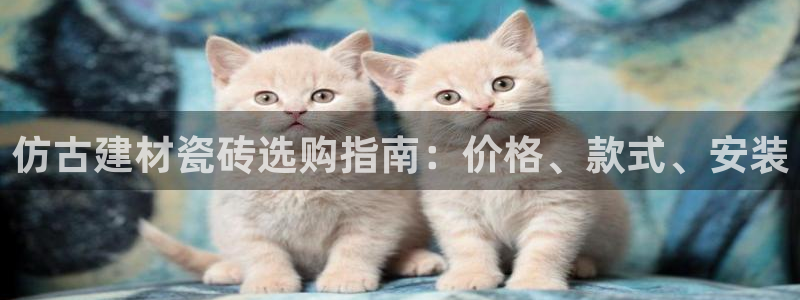 杏鑫娱乐多少年了