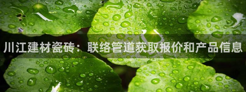 杏鑫注册登录代理公司