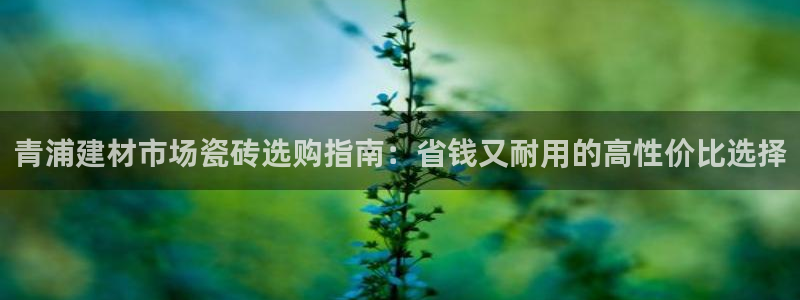 杏鑫娱乐平台