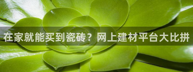 杏鑫注册登陆