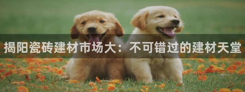 杏鑫平台注册入口在哪