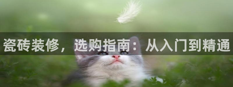 杏鑫平台在线注册怎么注册