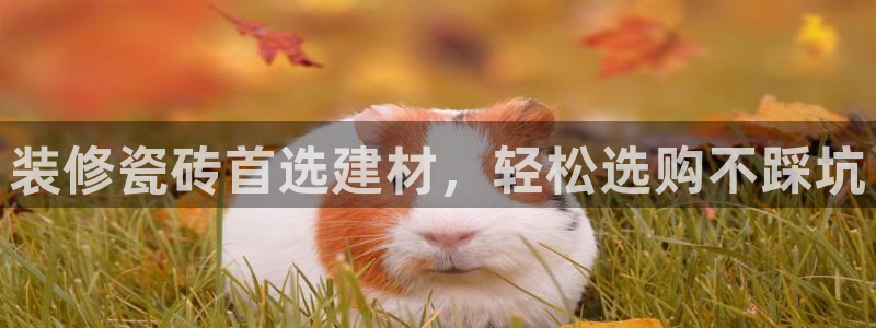 杏鑫平台代理