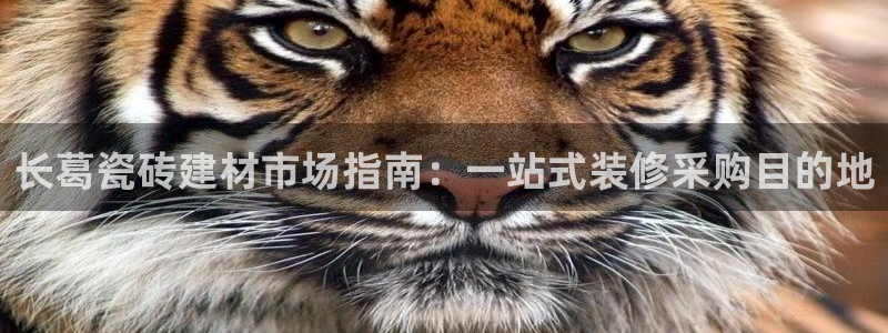 杏鑫平台是黑平台吗是真的吗