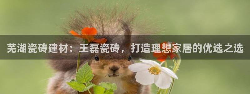 杏鑫娱乐-官方网站