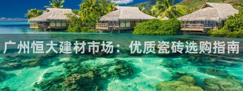 杏鑫平台代理怎么样赚钱