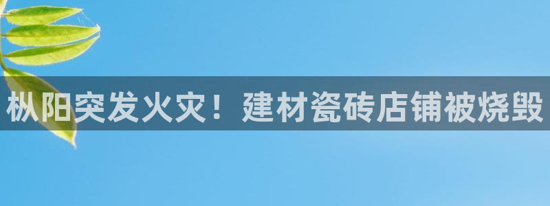 杏鑫平台直属哪个公司