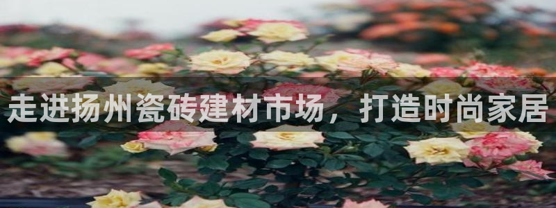 杏鑫平台注册地址在哪里