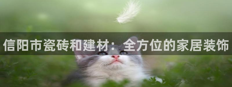杏鑫平台怎么样黑钱吗知乎推荐