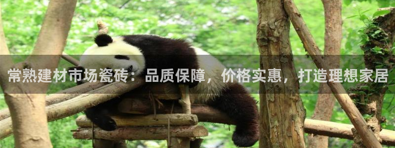 杏鑫平台招商电话号码是多少