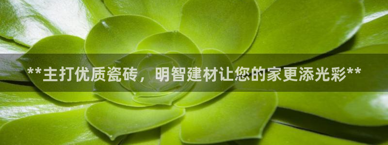 杏鑫平台正规吗是真的吗