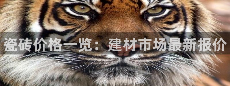 杏鑫平台招商电话号码