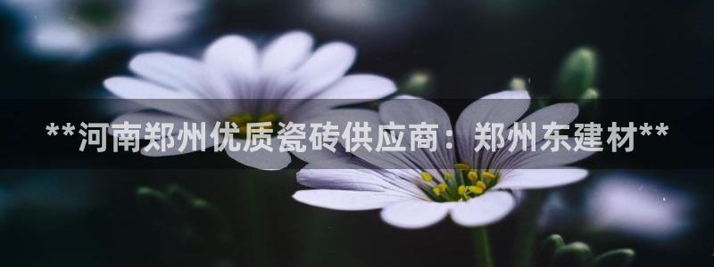 杏鑫平台代理注册流程视频