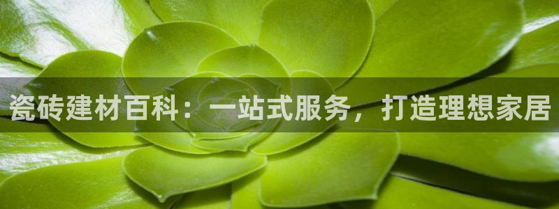 杏鑫平台代理注册要钱吗