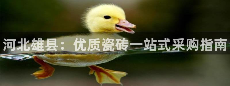 杏鑫平台代理怎么做