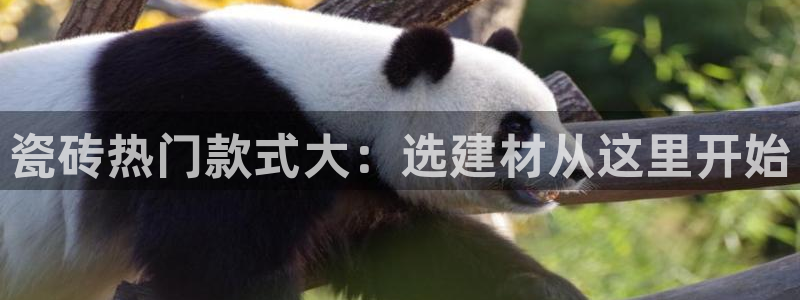 杏鑫平台列7O777