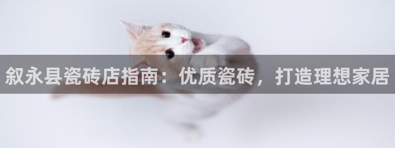杏鑫平台招商