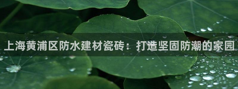 杏鑫娱乐是真的吗知乎
