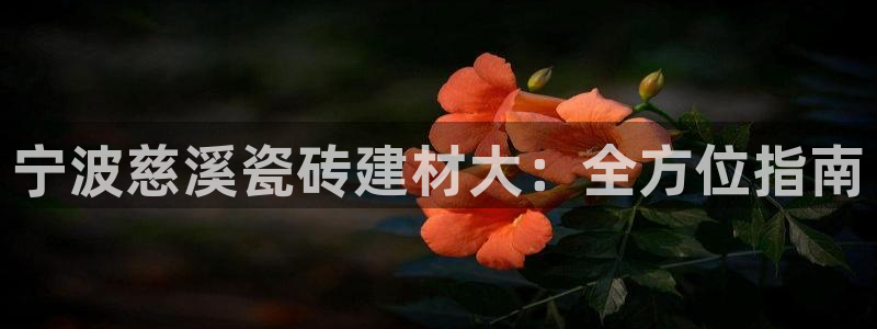 杏鑫平台在线注册怎么注册