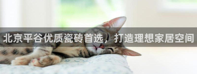 杏鑫平台怎么样黑钱吗