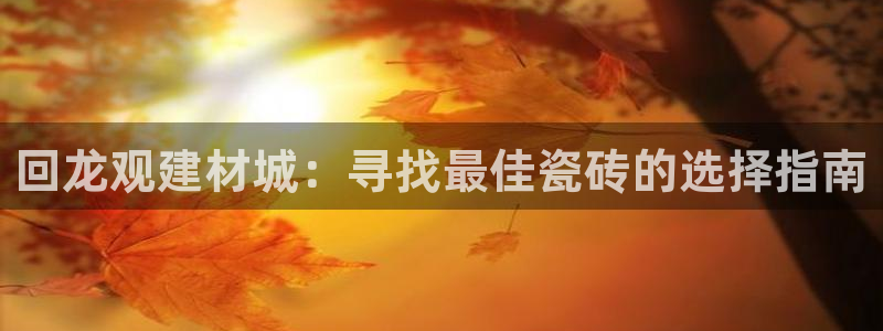 杏鑫官网