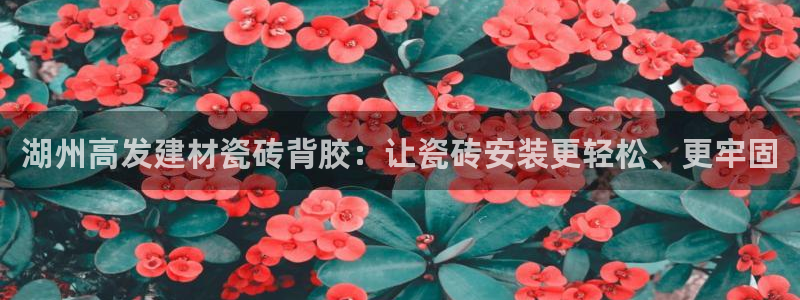 杏鑫娱乐官网首页