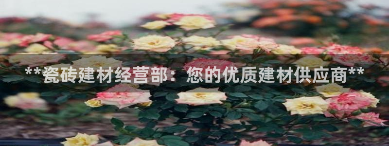 杏鑫平台号7O777