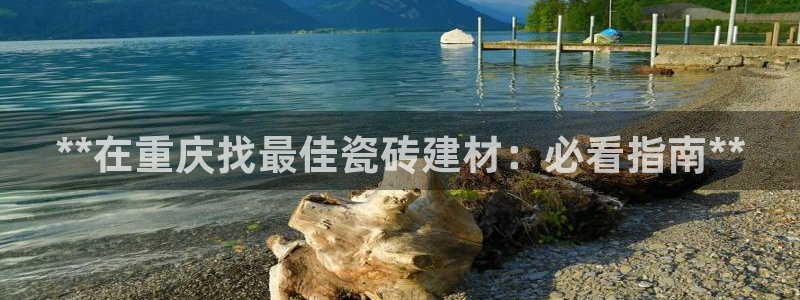 杏鑫有亏损返点吗