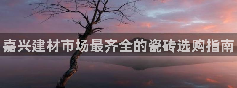 杏鑫官方平台怎么样啊可靠吗